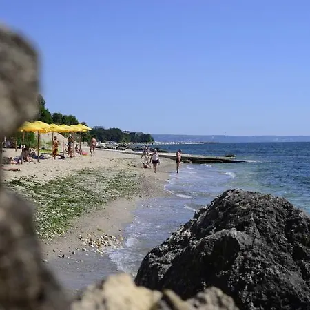 Отель Brigantina